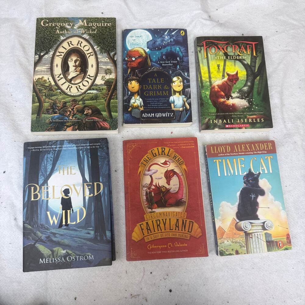 Lot of 6 Books Middle Grade Fantasy Magic Fairytale Fairies Kids Girls Paperback